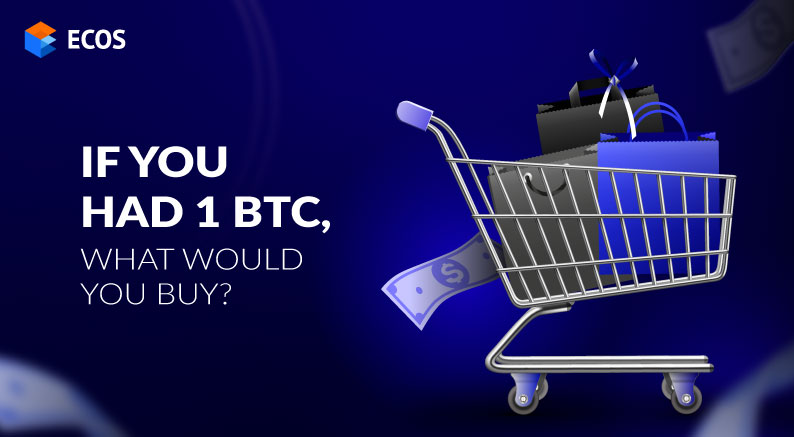 If you had 1 BTC what would you buy?