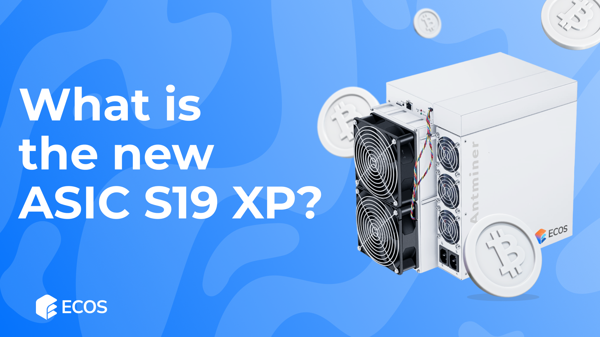 What is the new ASIC S19 XP